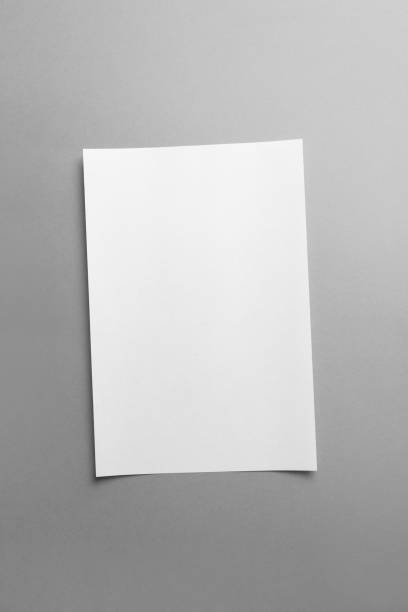 istock White blank paper page with shadow isolated on grey color background 1442667979