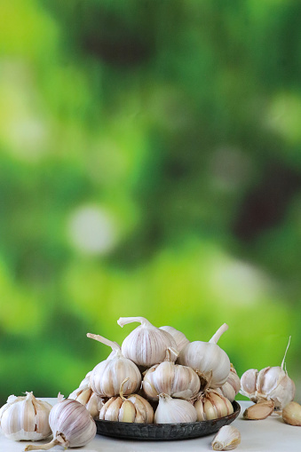 Garlic clove and bulb flying in the air isolated on white background.