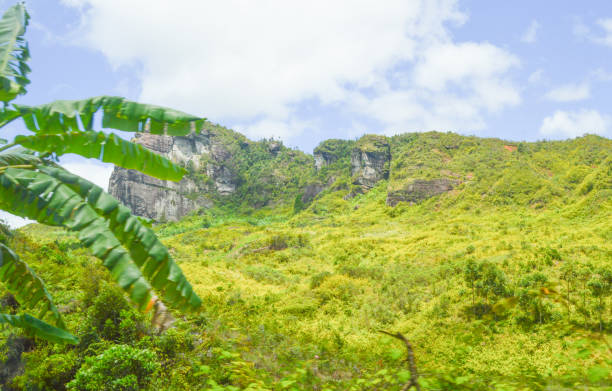 istock Mountain covered with green grasses 1442671155