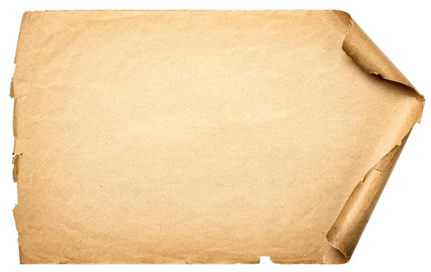 istock Ancient scroll isolated on white background. Texture of paper manuscript with shabby edges 1442677140