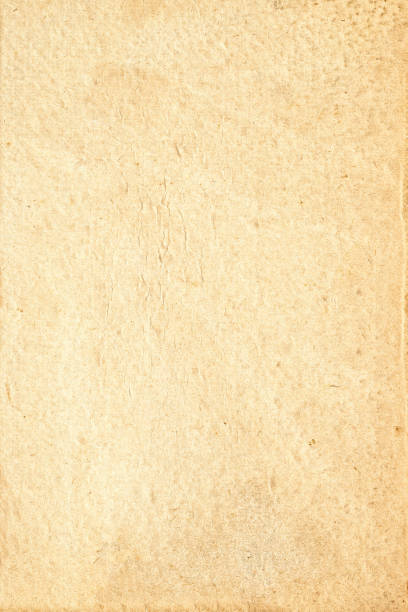 istock vintage paper background, parchment texture with rough surface 1442677146