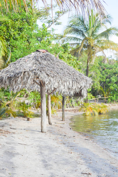 istock Thatch umbrellas at the edge of a lake 1442677243