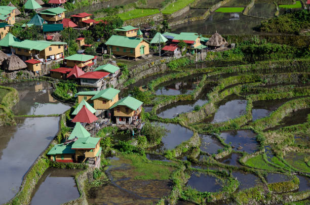 terrazze panoramiche di riso batad sito patrimonio mondiale dell'unesco a banaue, ifugao, filippine - ifugao foto e immagini stock