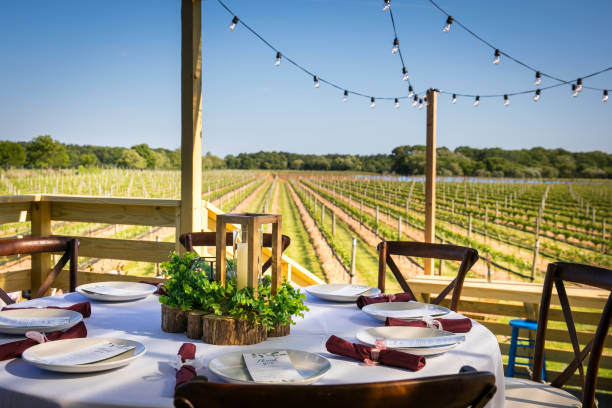 istock Table in a beautiful vineyard wedding during daylight 1442678811