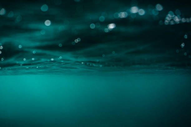 istock Surface of the sea from under the water 1442681047