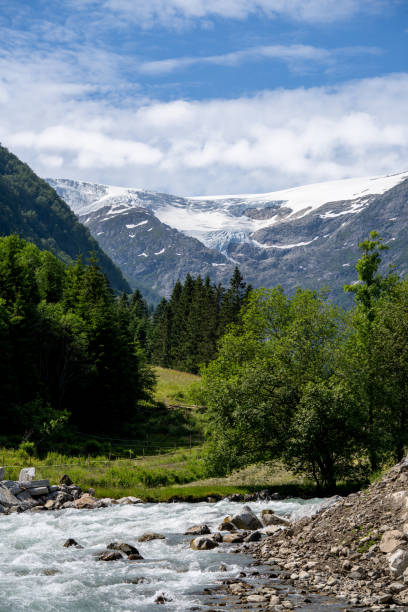 istock Vertical shot of a beautiful landscape with a stream 1442681685