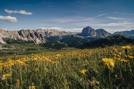 Fantastic mountain landscape of Dolomites with a hiking trail and view of Sassolungo (Langkofel) in the background. Summer landscape of Dolomiti, Tyro