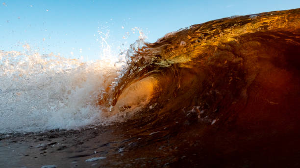 istock Beautiful background with a colorful ocean wave. 1442683152