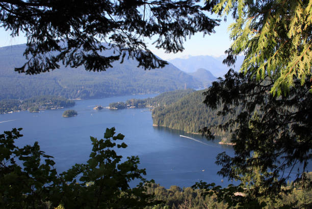 istock Burnaby Mountain Conservation Area Burnaby Canada 1442683389