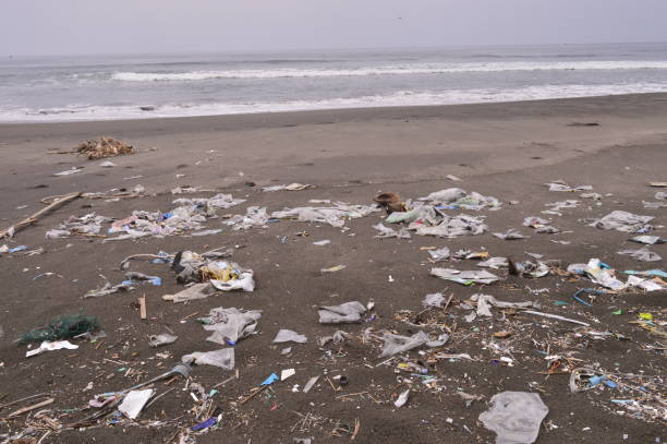 istock Trash on the beach on a cloudy day 1442684361