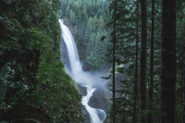 istock Beautiful Wallace Falls State Park in Washington, USA 1442684513