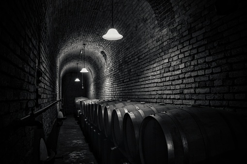 A grayscale shot of the inside of a dark tunnel with less lights and a line of barrels on ground