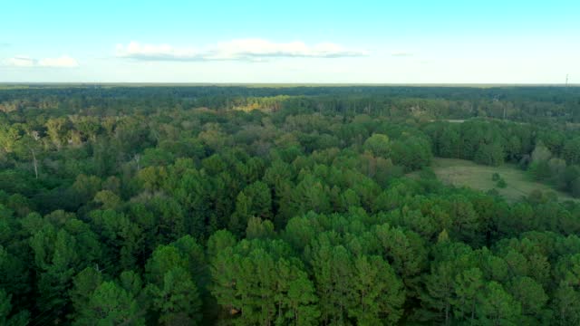 Aerial view of a hiking park trail in East End Park in Kingwood,TX