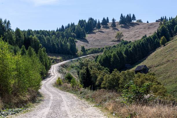 istock Beautiful narrow road through the mountainous landscape 1442686485