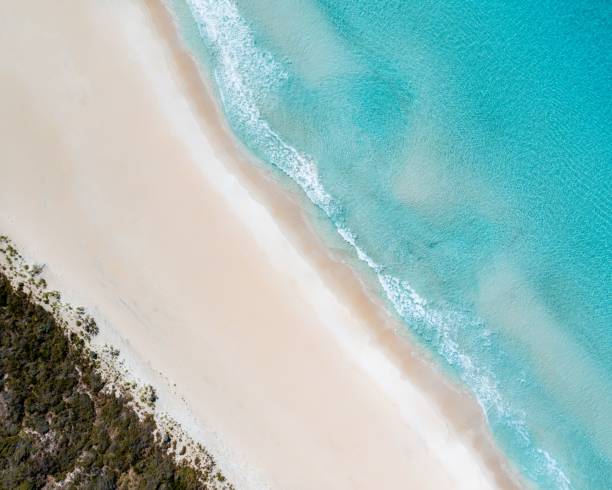 istock Aerial top view of an idyllic white sand beach 1442686519