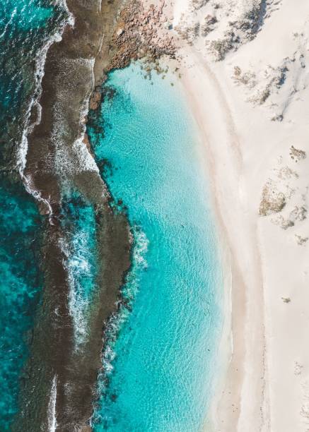 istock Aerial view of an idyllic seashore in vertical 1442686612