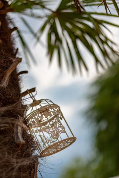 istock Vertical close-up view of a vintage decorative cage hanging from a tree 1442686674