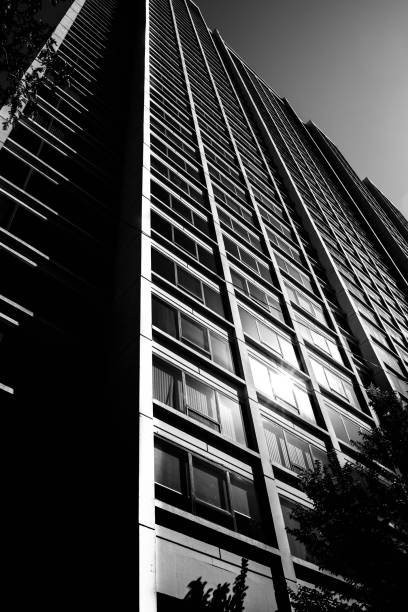 istock Grayscale of a building with sunlight 1442687303