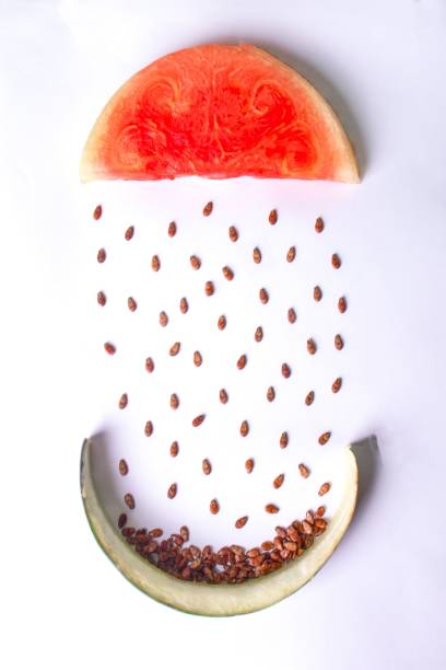 istock Creative food concept with peeled watermelon slice and seeds falling down like raindrops into a rind 1442688357