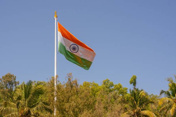istock Waving Indian flag on a pole in a park 1442688704