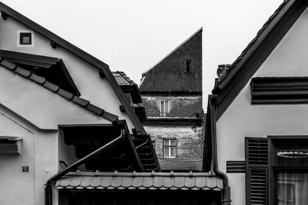 istock Low-angle view of modern buildings in black and white 1442689058