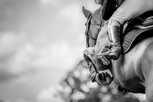 Horse jumping over an obstacle during a show jumping competition.