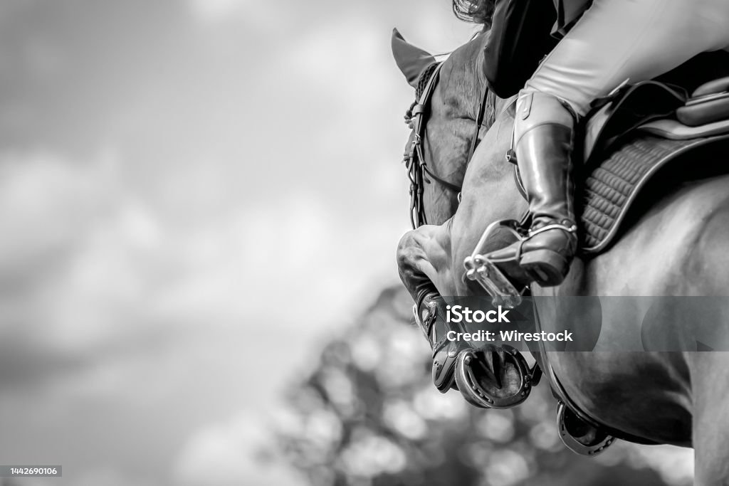 Horse Jumping, Equestrian Sports, Show Jumping themed photo. Horse jumping over an obstacle during a show jumping competition. Horse Stock Photo