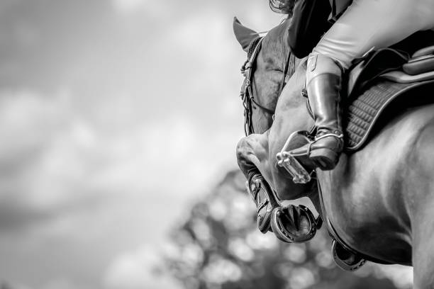 Horse Jumping, Equestrian Sports, Show Jumping themed photo. Horse jumping over an obstacle during a show jumping competition. equestrian show jumping stock pictures, royalty-free photos & images