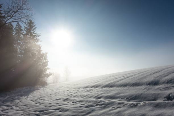 A snowy field on a sunny day