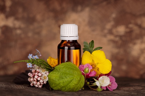 Mock-up, brown bottle of essential oil with medicinal plants and flowers, wellness and spa natural extracts of essential oil. Bach therapy, alternativ