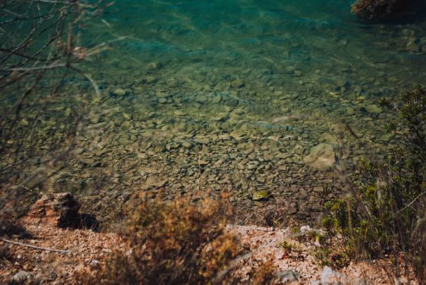 istock Some rocks in the beach underwater 1442692200