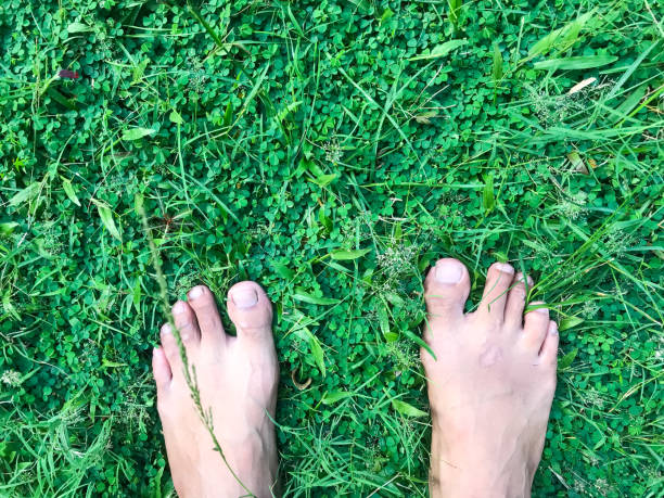 human feet isolated with green grass human feet isolated with green grass latar belakang stock pictures, royalty-free photos & images