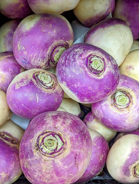 istock Vertical shot of turnip heads piled together 1442693103