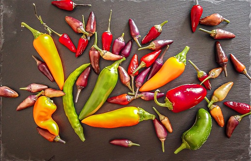 Colorful chili peppers and spices. Assortment of fresh and dryed peppers: cayenne, Charleston Hot, Carribean red habanero on the dark background