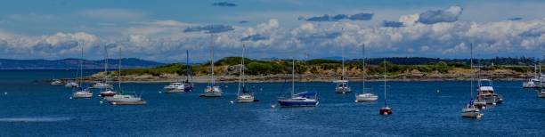 istock Panoramic of ships anchored on the coastline 1442694144