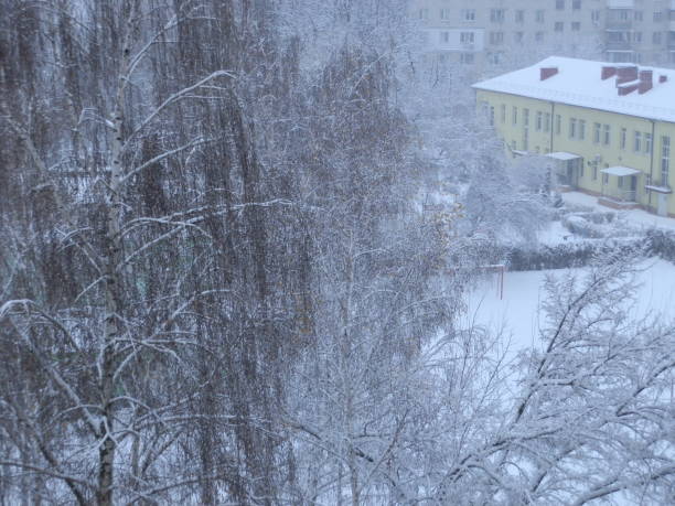 istock Snow-covered trees in a snowstorm in the city 1442695408