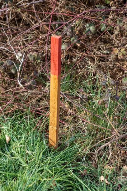Wood survey stake painted in red for work on construction site