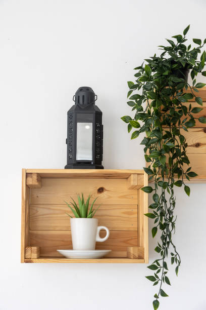 istock Wooden boxes fixed on the white wall as decorative racks for plants 1442697362