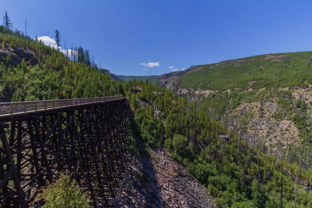 istock Beautiful trestle bridge in a forest under a blue sky 1442699192