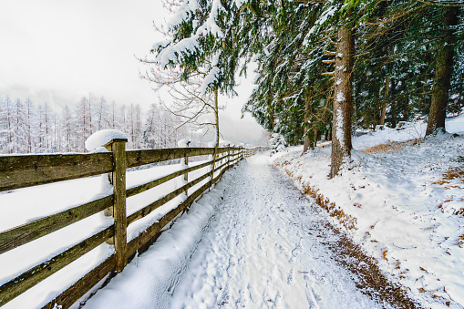 Gate in front of a meadow in a snowy winter landscape in the IJsseldelta region near Kampen in Overijssel during an overcast winter day.