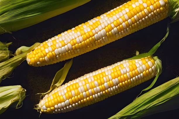 istock Top view of yellow and white raw corn 1442699964