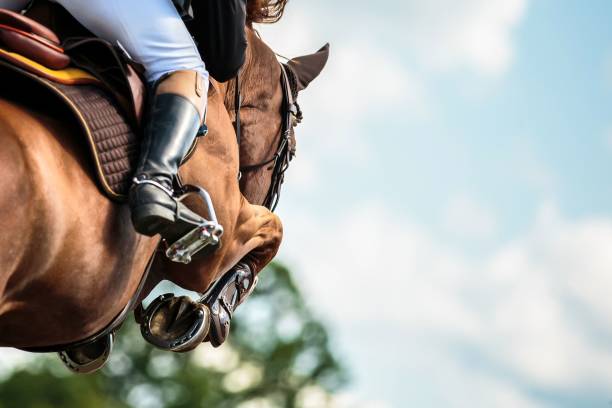 馬のジャンプ、馬術スポーツ、障害飛越競技をテーマにした写真。 - mounted ストックフォトと画像