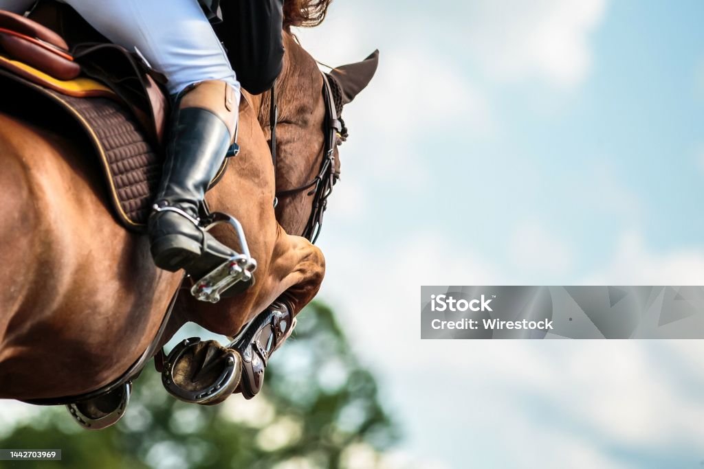 Horse Jumping, Equestrian Sports, Show Jumping themed photo. Horse jumping over an obstacle during a showjumping competition. Horse Stock Photo
