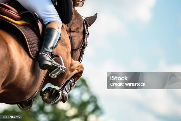 Horse Jumping Equestrian Sports Show Jumping Themed Photo Stock Photo - Download Image Now