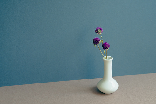 Vase of dry flower on table. navy blue wall background. home interior