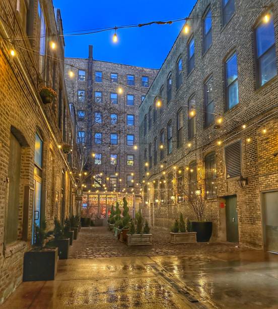 istock Illuminated alley in Chicago 1442706177