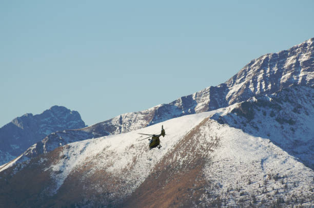 istock Helicopter rescue in the Alps 1442707802