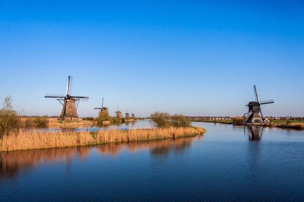 Dutch Pictures | Download Free Images on Unsplash