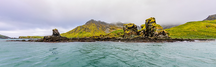 Widescreen panoramic view of South Georgia, a dreamlike island where king penguins and elephant seals say goodnight to each other