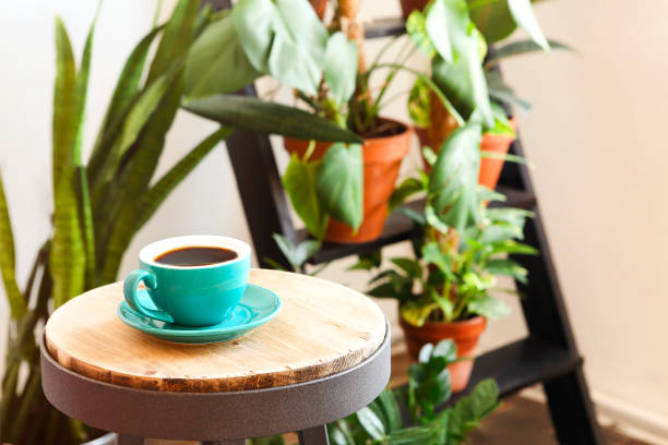 istock Cup of coffee near potted plants 1442715747